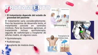 • El tratamiento depende del estado de
gravedad del paciente
El tratamiento varía considerablemente.
Para las leucemias de desarrollo lento, el
tratamiento consiste en controles
médicos. Para las leucemias agresivas, el
tratamiento incluye quimioterapia,
seguida de radioterapia y trasplante de
células madre, en algunos casos.
 Quimioterapia.
 Radioterapia.
 Trasplante de medula ósea.
 
