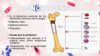 • Es el descenso anormal de los
elementos celulares de la sangre:
 glóbulos rojos
 glóbulos blancos
 Plaquetas
• Causas que la producen:
• Enfermedades que afectan a la
medula ósea, como neoplasias
malignas.
• Tratamientos con quimioterapia
y radioterapia.
 