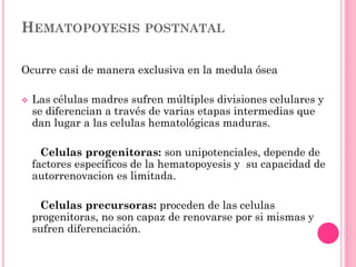 HEMATOPOYESIS POSTNATAL
Ocurre casi de manera exclusiva en la medula ósea
 Las células madres sufren múltiples divisiones celulares y
se diferencian a través de varias etapas intermedias que
dan lugar a las celulas hematológicas maduras.
Celulas progenitoras: son unipotenciales, depende de
factores específicos de la hematopoyesis y su capacidad de
autorrenovacion es limitada.
Celulas precursoras: proceden de las celulas
progenitoras, no son capaz de renovarse por si mismas y
sufren diferenciación.
 