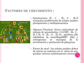 FACTORES DE CRECIMIENTO :
 Interleucinas IL -1 , IL- 3 , IL-6
estimulan proliferación de celulas madres
pluripotentes y multipotenciales.
 Algunas Citocinas, factor estimulante de
colonia de granulocitos ( G-CSF) , IL- 3 ,
IL-7 IL -8 , IL- 11 , IL-12 , proteína alfa
inhibidora de macrófago(MIP- alfa) y
eritropeyina se encargan de la
movilización y producción de plaquetas
 Factor de steel : las celulas madres deben
de entrar en contacto con el antes de que
puedan volverse mitóticamente activas.
 