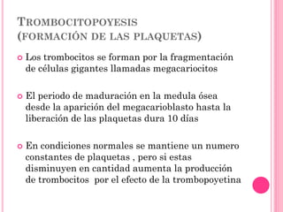 TROMBOCITOPOYESIS
(FORMACIÓN DE LAS PLAQUETAS)
 Los trombocitos se forman por la fragmentación
de células gigantes llamadas megacariocitos
 El periodo de maduración en la medula ósea
desde la aparición del megacarioblasto hasta la
liberación de las plaquetas dura 10 días
 En condiciones normales se mantiene un numero
constantes de plaquetas , pero si estas
disminuyen en cantidad aumenta la producción
de trombocitos por el efecto de la trombopoyetina
 