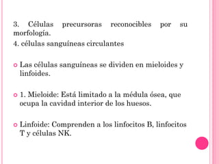 3. Células precursoras reconocibles por su
morfología.
4. células sanguíneas circulantes
 Las células sanguíneas se dividen en mieloides y
linfoides.
 1. Mieloide: Está limitado a la médula ósea, que
ocupa la cavidad interior de los huesos.
 Linfoide: Comprenden a los linfocitos B, linfocitos
T y células NK.
 