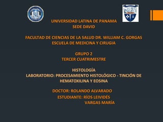 UNIVERSIDAD LATINA DE PANAMAUNIVERSIDAD LATINA DE PANAMA
SEDE DAVIDSEDE DAVID
FACULTAD DE CIENCIAS DE LA SALUD DR. WILLIAM C. GORGASFACULTAD DE CIENCIAS DE LA SALUD DR. WILLIAM C. GORGAS
ESCUELA DE MEDICINA Y CIRUGIAESCUELA DE MEDICINA Y CIRUGIA
GRUPO 2GRUPO 2
TERCER CUATRIMESTRETERCER CUATRIMESTRE
HISTOLOGÍA
LABORATORIO: PROCESAMIENTO HISTOLÓGICO - TINCIÓN DE
HEMATOXILINA Y EOSINA
DOCTOR: ROLANDO ALVARADODOCTOR: ROLANDO ALVARADO
ESTUDIANTE: RÍOS LEIVIDÉSESTUDIANTE: RÍOS LEIVIDÉS
VARGAS MARÍAVARGAS MARÍA
 