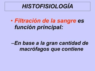 HISTOFISIOLOGÍA
• Filtración de la sangre es
función principal:
–En base a la gran cantidad de
macrófagos que contiene
 