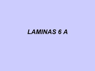 LAMINAS 6 A
 