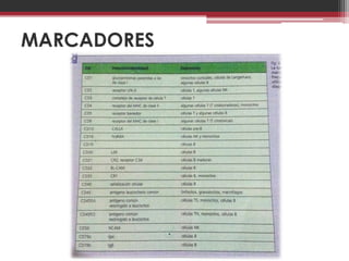 MARCADORES
 