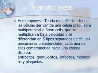 Hematopoyesis

   Hematopoyesis Teoría monofilética: todas
    las células derivan de una célula precursora
    multipotencial o Stem cells, que se
    multiplican a baja velocidad y se
    diferencian en 5 tipos separados de células
    precursoras unipotenciales, cada una de
    ellas comprometida hacia una estirpe
    distinta:
    eritrocitos, granulocitos, linfocitos, monocit
    os y plaquetas.
 