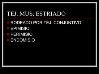 TEJ. MUS. ESTRIADO RODEADO POR TEJ. CONJUNTIVO EPIMISIO PERIMISIO ENDOMISIO 