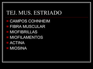 TEJ. MUS. ESTRIADO CAMPOS COHNHEIM FIBRA MUSCULAR MIOFIBRILLAS MIOFILAMENTOS ACTINA  MIOSINA 