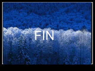 FIN 