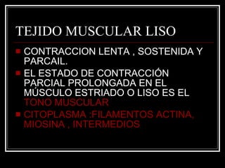 TEJIDO MUSCULAR LISO CONTRACCION LENTA , SOSTENIDA Y PARCAIL.  EL ESTADO DE CONTRACCIÓN PARCIAL PROLONGADA EN EL MÚSCULO ESTRIADO O LISO ES EL  TONO MUSCULAR CITOPLASMA :FILAMENTOS ACTINA, MIOSINA , INTERMEDIOS 