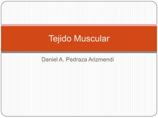 Daniel A. Pedraza Arizmendi Tejido Muscular 