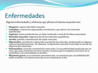 Enfermedades
Algunas enfermedades y dolencias que afectan al sistema muscular son:
 Desgarro: ruptura del tejido muscular.
 Calambre: contracción espasmódica involuntaria, que afecta a los músculos
  superficiales.
 Esguince: lesión producida por un daño moderado o total de las fibras musculares.
 Distrofia muscular: degeneración de los músculos esqueléticos.
 Atrofia: pérdida o disminución del tejido muscular.
 Hipertrofia: crecimiento o desarrollo anormal de los músculos, produciendo en algunos
  casos serias deformaciones. No obstante, la hipertrofia muscular controlada es uno de los
  objetivos del culturismo.
 Poliomielitis: conocida comúnmente como polio. Es una enfermedad producida por un
  virus, que ataca al sistema nervioso central y ocasiona que los impulsos nerviosos no se
  transmitan y las extremidades se atrofien.
 Miastenia gravis: es un trastorno neuromuscular, se caracteriza por una debilidad del
  tejido muscular y el sistema muscular es un componente acido
 