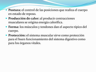  Postura: el control de las posiciones que realiza el cuerpo
  en estado de reposo.
 Producción de calor: al producir contracciones
  musculares se origina energía calorífica.
 Forma: los músculos y tendones dan el aspecto típico del
  cuerpo.
 Protección: el sistema muscular sirve como protección
  para el buen funcionamiento del sistema digestivo como
  para los órganos vitales.
 