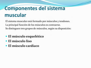 Componentes del sistema
muscular
El sistema muscular está formado por músculos y tendones.
La principal función de los músculos es contraerse.
Se distinguen tres grupos de músculos, según su disposición:


 El músculo esquelético
 El músculo liso
 El músculo cardíaco
 
