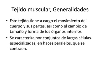 Tejido muscular, Generalidades
• Este tejido tiene a cargo el movimiento del
  cuerpo y sus partes, asi como el cambio de
  tamaño y forma de los órganos internos
• Se caracteriza por conjuntos de largas células
  especializadas, en haces paralelos, que se
  contraen.
 