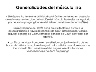 Generalidades del músculo liso
 • El músculo liso tiene una actividad contráctil espontánea en ausencia
de estímulos nervioso, la contracción del músculo liso sueles ser regulada
   por neuronas posganglionares del sistema nervioso autónomo (SNA)

      •La mayor parte del Ca2+ entra en el citoplasma durante la
  despolarización a través de canales de Ca2+ activados por voltaje,
  algunos canales de Ca2+, llamadas canales de Ca2+ activados por
                               ligando.

 • Las fibras nerviosas transcurren en el tejido conjuntivo dentro de los
haces de células musculares lisas junto a las células musculares que son
      inervadas la fibra nerviosa exhibe engrosamientos llamados
                   varicosidades o boutons en passage
 