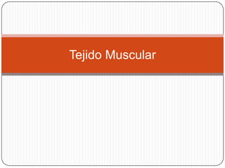 Tejido Muscular

 