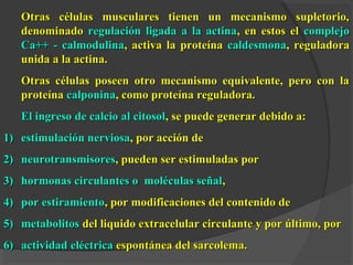 Otras células musculares tienen un mecanismo supletorio,Otras células musculares tienen un mecanismo supletorio,
denominadodenominado regulación ligada a la actinaregulación ligada a la actina, en estos el, en estos el complejocomplejo
Ca++ - calmodulinaCa++ - calmodulina, activa la proteína, activa la proteína caldesmonacaldesmona, reguladora, reguladora
unida a la actina.unida a la actina.
Otras células poseen otro mecanismo equivalente, pero con laOtras células poseen otro mecanismo equivalente, pero con la
proteínaproteína calponinacalponina, como proteína reguladora., como proteína reguladora.
El ingreso de calcio al citosolEl ingreso de calcio al citosol, se puede generar debido a:, se puede generar debido a:
1)1) estimulación nerviosaestimulación nerviosa, por acción de, por acción de
2)2) neurotransmisoresneurotransmisores, pueden ser estimuladas por, pueden ser estimuladas por
3)3) hormonas circulantes o moléculas señalhormonas circulantes o moléculas señal,,
4)4) por estiramientopor estiramiento, por modificaciones del contenido de, por modificaciones del contenido de
5)5) metabolitosmetabolitos del liquido extracelular circulante y por último, pordel liquido extracelular circulante y por último, por
6)6) actividadactividad eléctricaeléctrica espontánea del sarcolema.espontánea del sarcolema.
 