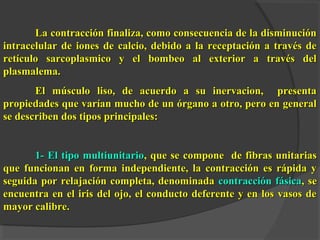 La contracción finaliza, como consecuencia de la disminuciónLa contracción finaliza, como consecuencia de la disminución
intracelular de iones de calcio, debido a la receptación a través deintracelular de iones de calcio, debido a la receptación a través de
retículo sarcoplasmico y el bombeo al exterior a través delretículo sarcoplasmico y el bombeo al exterior a través del
plasmalema.plasmalema.
El músculo liso, de acuerdo a su inervacion, presentaEl músculo liso, de acuerdo a su inervacion, presenta
propiedades que varían mucho de un órgano a otro, pero en generalpropiedades que varían mucho de un órgano a otro, pero en general
se describen dos tipos principales:se describen dos tipos principales:
1- El tipo multiunitario1- El tipo multiunitario, que se compone de fibras unitarias, que se compone de fibras unitarias
que funcionan en forma independiente, la contracción es rápida yque funcionan en forma independiente, la contracción es rápida y
seguida por relajación completa, denominadaseguida por relajación completa, denominada contracción fásicacontracción fásica, se, se
encuentra en el iris del ojo, el conducto deferente y en los vasos deencuentra en el iris del ojo, el conducto deferente y en los vasos de
mayor calibre.mayor calibre.
 
