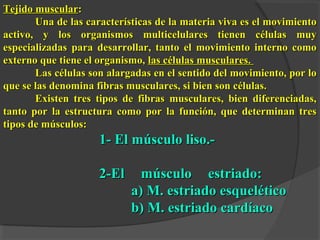 Tejido muscularTejido muscular::
Una de las características de la materia viva es el movimientoUna de las características de la materia viva es el movimiento
activo, y los organismos multicelulares tienen células muyactivo, y los organismos multicelulares tienen células muy
especializadas para desarrollar, tanto el movimiento interno comoespecializadas para desarrollar, tanto el movimiento interno como
externo que tiene el organismo,externo que tiene el organismo, las células musculares.las células musculares.
Las células son alargadas en el sentido del movimiento, por loLas células son alargadas en el sentido del movimiento, por lo
que se las denomina fibras musculares, si bien son células.que se las denomina fibras musculares, si bien son células.
Existen tres tipos de fibras musculares, bien diferenciadas,Existen tres tipos de fibras musculares, bien diferenciadas,
tanto por la estructura como por la función, que determinan trestanto por la estructura como por la función, que determinan tres
tipos de músculos:tipos de músculos:
1- El músculo liso.-1- El músculo liso.-
2-El músculo estriado:2-El músculo estriado:
a) M. estriado esqueléticoa) M. estriado esquelético
b) M. estriado cardíacob) M. estriado cardíaco
 