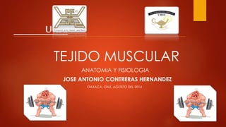 URSE 
TEJIDO MUSCULAR 
ANATOMIA Y FISIOLOGIA 
JOSE ANTONIO CONTRERAS HERNANDEZ 
OAXACA, OAX. AGOSTO DEL 2014 
 