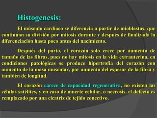 HHiissttooggeenneessiiss:: 
EEll mmúússccuulloo ccaarrddiiaaccoo ssee ddiiffeerreenncciiaa aa ppaarrttiirr ddee mmiioobbllaassttooss,, qquuee 
ccoonnttiinnúúaann ssuu ddiivviissiióónn ppoorr mmiittoossiiss dduurraannttee yy ddeessppuuééss ddee ffiinnaalliizzaaddaa llaa 
ddiiffeerreenncciiaacciióónn hhaassttaa ppooccoo aanntteess ddeell nnaacciimmiieennttoo.. 
DDeessppuuééss ddeell ppaarrttoo,, eell ccoorraazzóónn ssoolloo ccrreeccee ppoorr aauummeennttoo ddee 
ttaammaaññoo ddee llaass ffiibbrraass,, ppuueess nnoo hhaayy mmiittoossiiss eenn llaa vviiddaa eexxttrraauutteerriinnaa,, eenn 
ccoonnddiicciioonneess ppaattoollóóggiiccaass ssee pprroodduuccee hhiippeerrttrrooffiiaa ddeell ccoorraazzóónn ccoonn 
aauummeennttoo ddee llaa mmaassaa mmuussccuullaarr,, ppoorr aauummeennttoo ddeell eessppeessoorr ddee llaa ffiibbrraa yy 
ttaammbbiiéénn ddee lloonnggiittuudd.. 
EEll ccoorraazzóónn ccaarreeccee ddee ccaappaacciiddaadd rreeggeenneerraattiivvaa,, nnoo eexxiisstteenn llaass 
ccéélluullaass ssaattéélliitteess,, yy eenn ccaassoo ddee mmuueerrttee cceelluullaarr,, oo nneeccrroossiiss,, eell ddeeffeeccttoo eess 
rreemmppllaazzaaddoo ppoorr uunnaa cciiccaattrriizz ddee tteejjiiddoo ccoonneeccttiivvoo.. 
