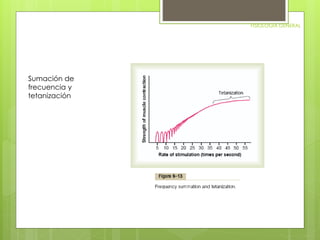 FISIOLOGIA GENERAL 
Sumación de 
frecuencia y 
tetanización 
 