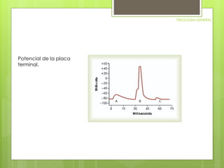FISIOLOGIA GENERAL 
Potencial de la placa 
terminal. 
 