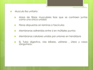FISIOLOGIA GENERAL 
 Musculo liso unitario: 
 Masa de fibras musculares lisas que se contraen juntas 
como una única unidad 
 Fibras dispuestas en laminas o fascículos 
 Membranas adheridas entre si en múltiples puntos 
 Membranas celulares unidas por uniones en hendidura 
 Ej. Tubo digestivo, vías biliares, uréteres , útero y vasos 
sanguíneos. 
 