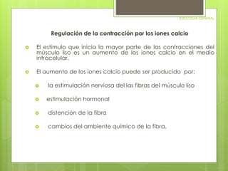 FISIOLOGIA GENERAL 
Regulación de la contracción por los iones calcio 
 El estimulo que inicia la mayor parte de las contracciones del 
músculo liso es un aumento de los iones calcio en el medio 
intracelular. 
 El aumento de los iones calcio puede ser producido por: 
 la estimulación nerviosa del las fibras del músculo liso 
 estimulación hormonal 
 distención de la fibra 
 cambios del ambiente químico de la fibra. 
 