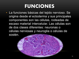 FUNCIONES
13
• La funciones básicas del tejido nervioso. Se
origina desde el ectoderma y sus principales
componentes son las células, rodeadas de
escaso material intercelular. Las células son
de dos clases diferentes: neuronas o
células nerviosas y neuroglia o células de
sostén.
 