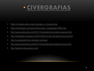 15
• CIVERGRAFIAS
• https://mmegias.webs.uvigo.es/guiada_a_muscular.php
• https://medlineplus.gov/spanish/ency/esp_imagepages/19841.htm
• http://www.anatolandia.com/2013/10/caracteristicas-tejido-muscular.html
• http://biologiadsa.blogspot.mx/2011/02/funciones-del-tejido-muscular.html
• http://conceptodefinicion.de/tejido-nervioso/
• http://www.anatolandia.com/2013/10/caracteristicas-tejido-nervioso.html
• http://tejidonervioso.galeon.com/
 