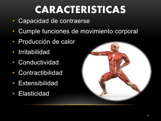 CARACTERISTICAS
4
• Capacidad de contraerse
• Cumple funciones de movimiento corporal
• Producción de calor
• Irritabilidad
• Conductividad
• Contractibilidad
• Extensibilidad
• Elasticidad
 