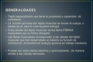 • Tejido especializado que tiene la propiedad o capacidad de
contraerse
• La función primaria del tejido muscular es mover el cuerpo, o
partes de el, para lo cual requiere energía
• A las células del tejido muscular se les llama FIBRAS
musculares por su forma alargada
• Las fibras musculares corresponden a las células del tejido
muscular que han desarrollado al máximo su función de
contracción, al transformar energía química en trabajo mecánico.
• Pueden ser estimuladas eléctrica y químicamente , de manera
similar a las células nerviosas.
 