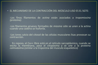 • EL MECANISMO DE LA CONTRACCIÓN DEL MÚSCULO LISO ES EL SGTE:
-Los finos filamentos de actina están asociados a tropomiosina
(proteína).
-Los filamentos gruesos formados de miosina sólo se unen a la actina
cuando una cadena se fosforila.
-Los iones calcio del citosol de las células musculares lisas provocan su
contracción.
En reposo, el Ca++ libre está en el retículo sarcoplásmico, cuando se
excita la membrana, pasa al citoplasma y se une a la proteína
calmodulina.(similar a la troponina del musculo esqueletico)
 