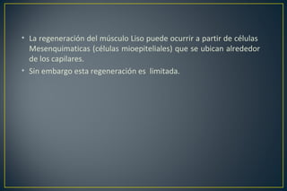 • La regeneración del músculo Liso puede ocurrir a partir de células
Mesenquimaticas (células mioepiteliales) que se ubican alrededor
de los capilares.
• Sin embargo esta regeneración es limitada.
 