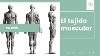 ANATOMÍA
El tejido
muscular
Enola Belmonte Noelia Pérez Mar Salinas
 