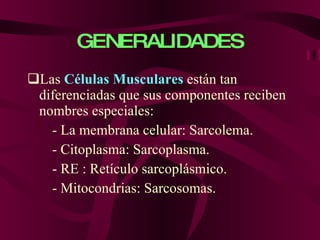GENERALIDADES Las  Células Musculares  están tan diferenciadas que sus componentes reciben nombres especiales: - La membrana celular: Sarcolema. - Citoplasma: Sarcoplasma. - RE : Retículo sarcoplásmico. - Mitocondrias: Sarcosomas. 