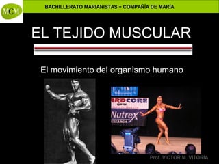 Anatomía y Fisiología Humanas -
BACHILLERATO MARIANISTAS + COMPAÑÍA DE MARÍA
Prof. VÍCTOR M. VITORIA
EL TEJIDO MUSCULAR
El movimiento del organismo humano
 