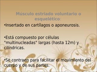 Músculo estriado voluntario o
                esquelético:
•Insertado en cartílagos o aponeurosis.

•Está compuesto por células
"multinucleadas" largas (hasta 12m) y
cilíndricas.

•Se contraen para facilitar el movimiento del
cuerpo y de sus partes.
 