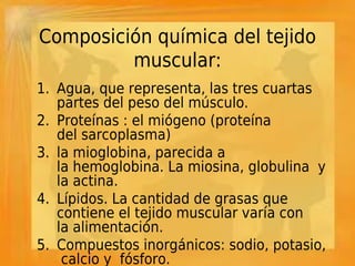 Composición química del tejido
         muscular:
1. Agua, que representa, las tres cuartas
   partes del peso del músculo.
2. Proteínas : el miógeno (proteína
   del sarcoplasma)
3. la mioglobina, parecida a
   la hemoglobina. La miosina, globulina  y
   la actina.
4. Lípidos. La cantidad de grasas que
   contiene el tejido muscular varía con
   la alimentación.
5. Compuestos inorgánicos: sodio, potasio,
    calcio y fósforo.
 