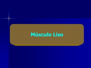 Músculo Liso
 