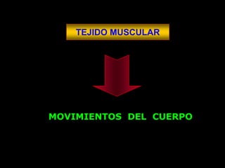 TEJIDO MUSCULAR




MOVIMIENTOS DEL CUERPO
 