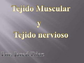 Tejido Muscular y Tejido nervioso Por: Jared Diaz 