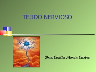TEJIDO NERVIOSO Dra. Cecilia Morón Castro 