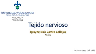 Tejido nervioso
Igrayne Irais Castro Callejas
Alumna
UNIVERSIDAD VERACRUZANA
FACULTAD DE MEDICINA
HISTOLOGÍA
NRC: 82362
14 de marzo del 2023
 