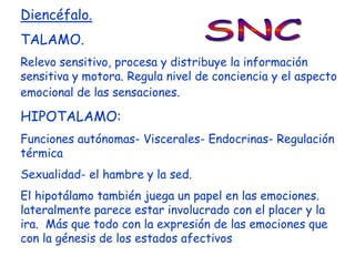 Diencéfalo.
TALAMO.
Relevo sensitivo, procesa y distribuye la información
sensitiva y motora. Regula nivel de conciencia y el aspecto
emocional de las sensaciones.

HIPOTALAMO:
Funciones autónomas- Viscerales- Endocrinas- Regulación
térmica
Sexualidad- el hambre y la sed.
El hipotálamo también juega un papel en las emociones.
lateralmente parece estar involucrado con el placer y la
ira. Más que todo con la expresión de las emociones que
con la génesis de los estados afectivos
 
