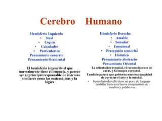 Cerebro Humano
      Hemisferio Izquierdo                          Hemisferio Derecho
            • Real                                         • Amable
           • Lógico                                       • Soñador
         • Calculador                                    • Emocional
        • Particulariza                             • Percepción sensorial
      Pensamiento concreto                                • Holistico
     Pensamiento Occidental                          Pensamiento abstracto
                                                     Pensamiento Oriental
     El hemisferio izquierdo el que           La orientación espacial, el reconocimiento de
normalmente tiene el lenguaje, y parece               caras, y la imagen corporal.
ser el principal responsable de sistemas   También parece que gobierna nuestra capacidad
  similares como las matemáticas y la                de apreciar el arte y la música.
                  lógica                    • hemisferio derecho tiene un poco de lenguaje
                                                también: tiene una buena comprensión de
                                                           insultos y palabrotas
 