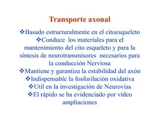 Transporte axonal
Basado estructuralmente en el citoesqueleto
       Conduce los materiales para el
  mantenimiento del cito esqueleto y para la
síntesis de neurotransmisores necesarios para
            la conducción Nerviosa
Mantiene y garantiza la estabilidad del axón
  Indispensable la fosforilación oxidativa
   Util en la investigación de Neurovías
   El rápido se ha evidenciado por vídeo
                 ampliaciones
 